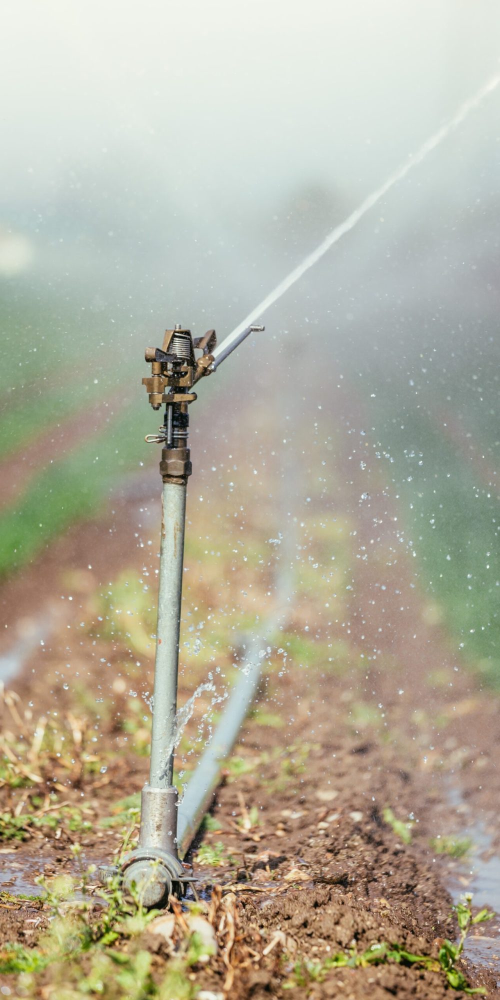 Irrigation plant on an agriculture field, summer day, soil